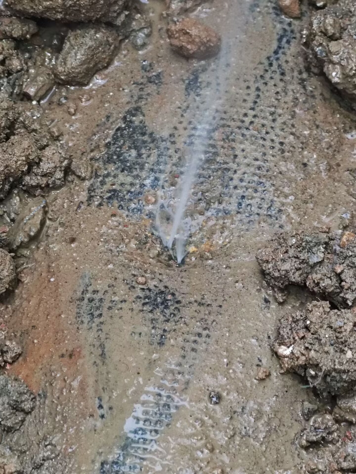 泰州管道漏水檢測(cè)